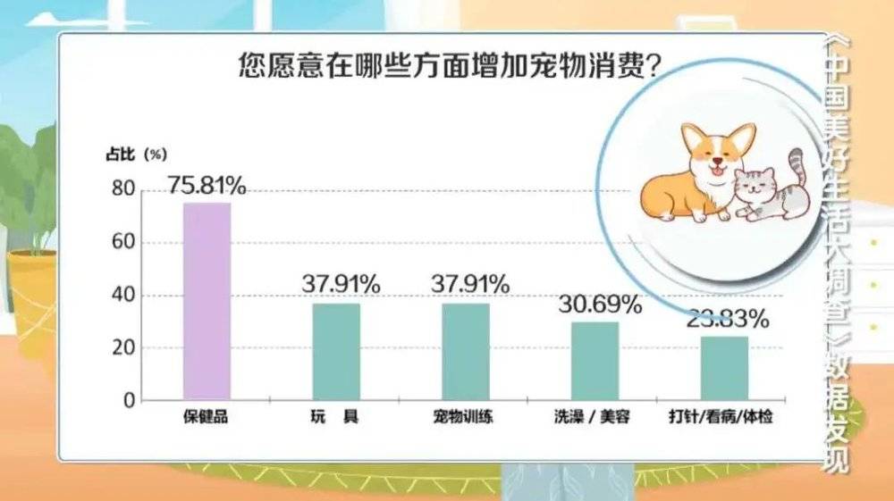 六郃彩：00後養寵：每月2千“營養費”，一天5種保健品