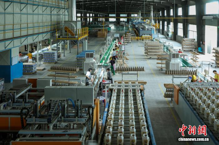 體育博彩：探尋青瓷“常青”的答案